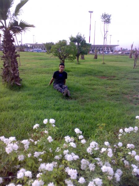 adolla